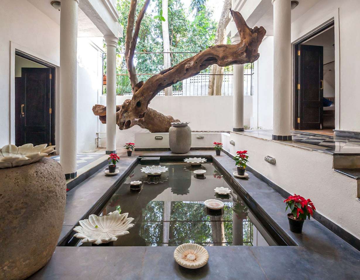 La - Bougainvillea 2