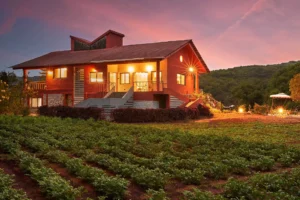 3 BHK River View Villa in Mahabaleshwar - VODMH281-Mahabaleshwar-banner