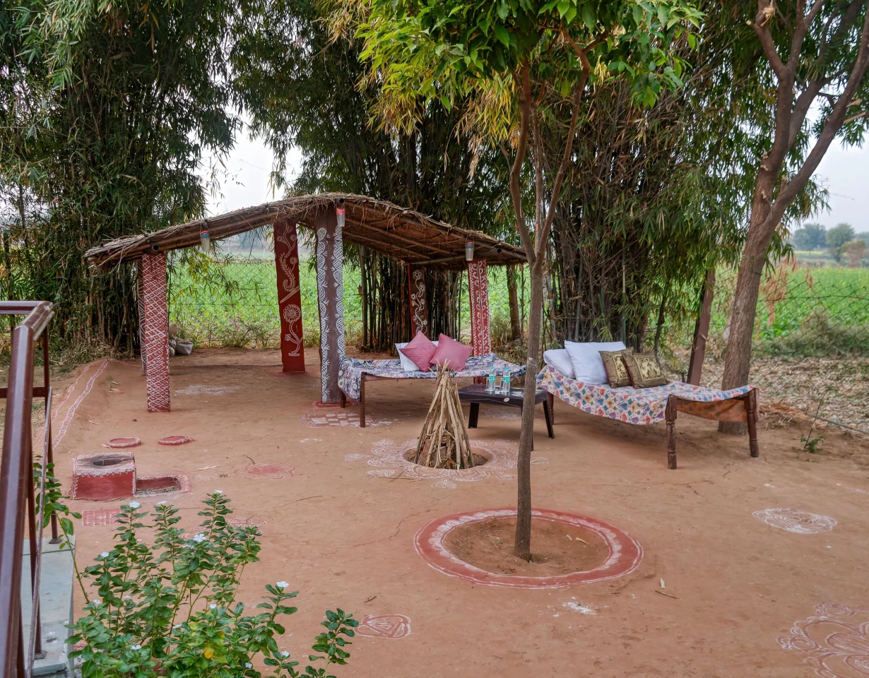 VODRJ254-Ranthambore-2