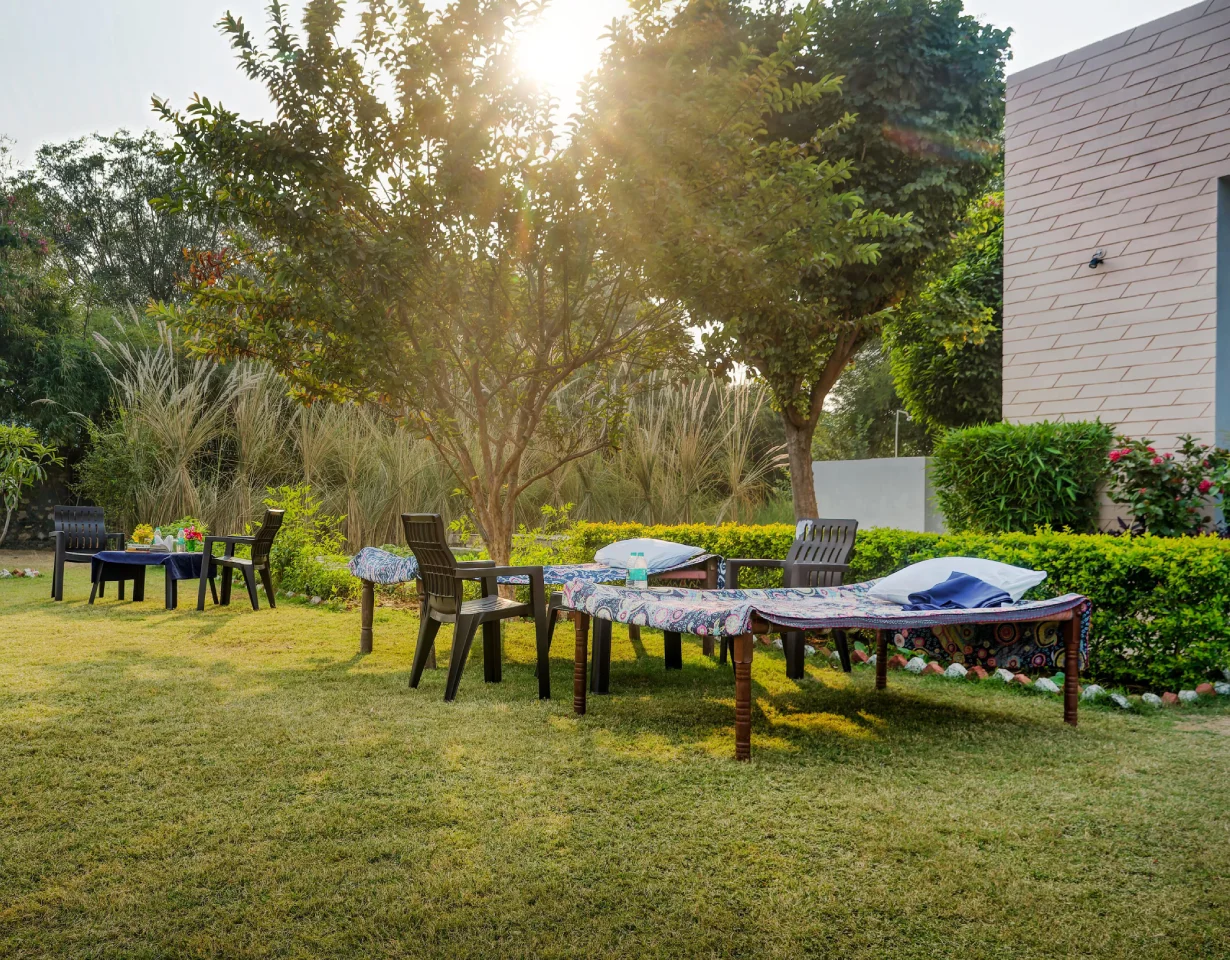 VODRJ254-Ranthambore-4