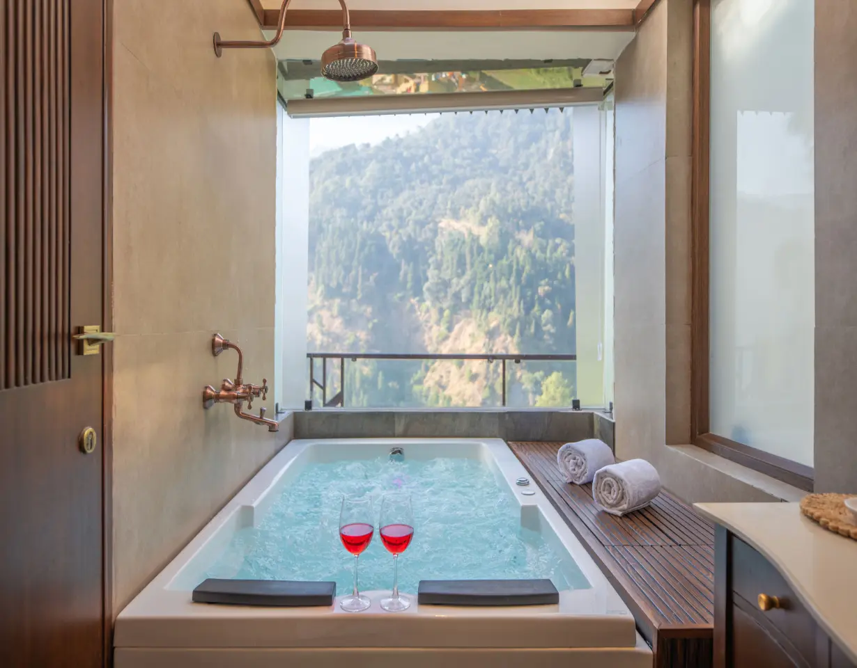 VODUK111-Nainital-4