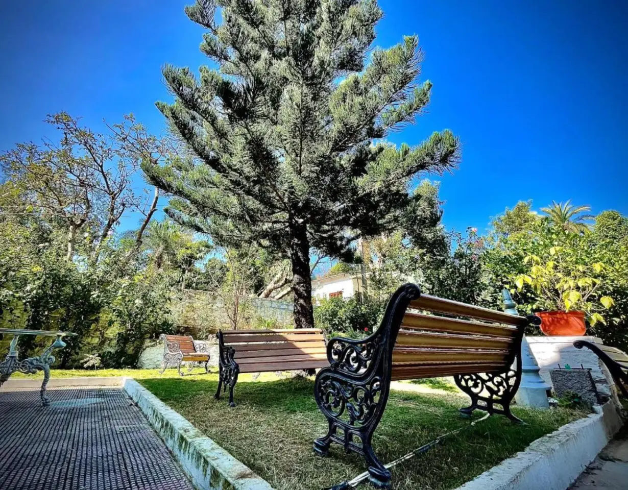 VODRJ289-MountAbu-2