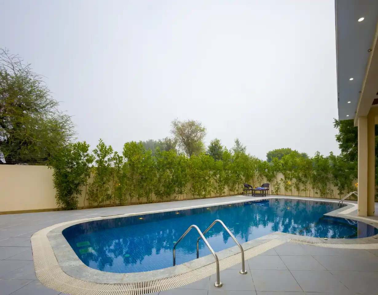 VODRJ311-Jaipur-3