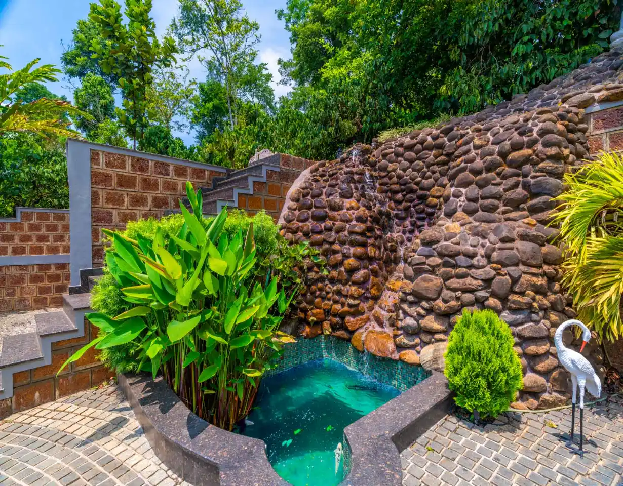 VODSI54-Coorg-3
